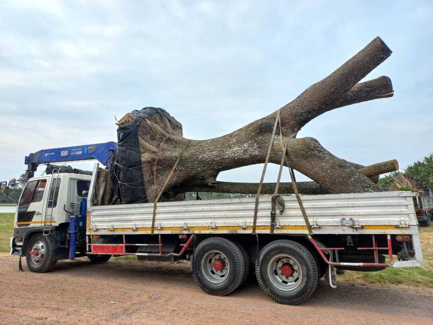 27 - https://คํานึงรถเครนรถเฮี๊ยบรับจ้าง.com | คํานึงรถเฮี๊ยบรับจ้าง - ให้บริการรถเฮียบรับจ้าง เพื่อการขนย้ายสิ่งของต่างๆ ที่มีขนาดใหญ่ ให้บริการอำนวยความสะดวกได้เป็นอย่างดี บริการรถเฮียบรับจ้าง 4 ล้อ ให้เลือกอยู่หลากหลายแบบ เช่น รถเฮี๊ยบรับจ้าง 10 ตัน 3 ตัน 5 ตัน ที่พร้อมรองรับความต้องการของผู้ขนย้ายได้เป็นอย่างดี